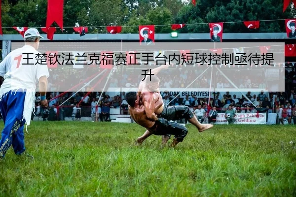 王楚钦法兰克福赛正手台内短球控制亟待提升